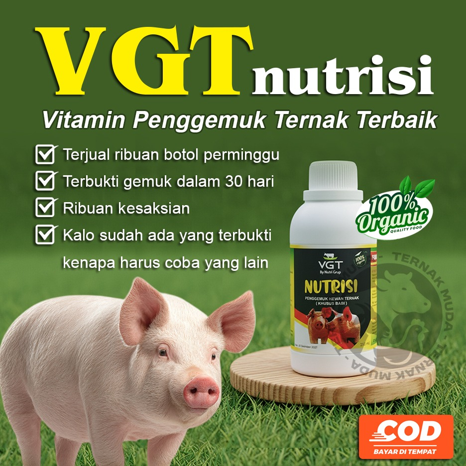 VGT Nutrisi Babi - Penggemuk Ternak Asupan Vitamin Hewan