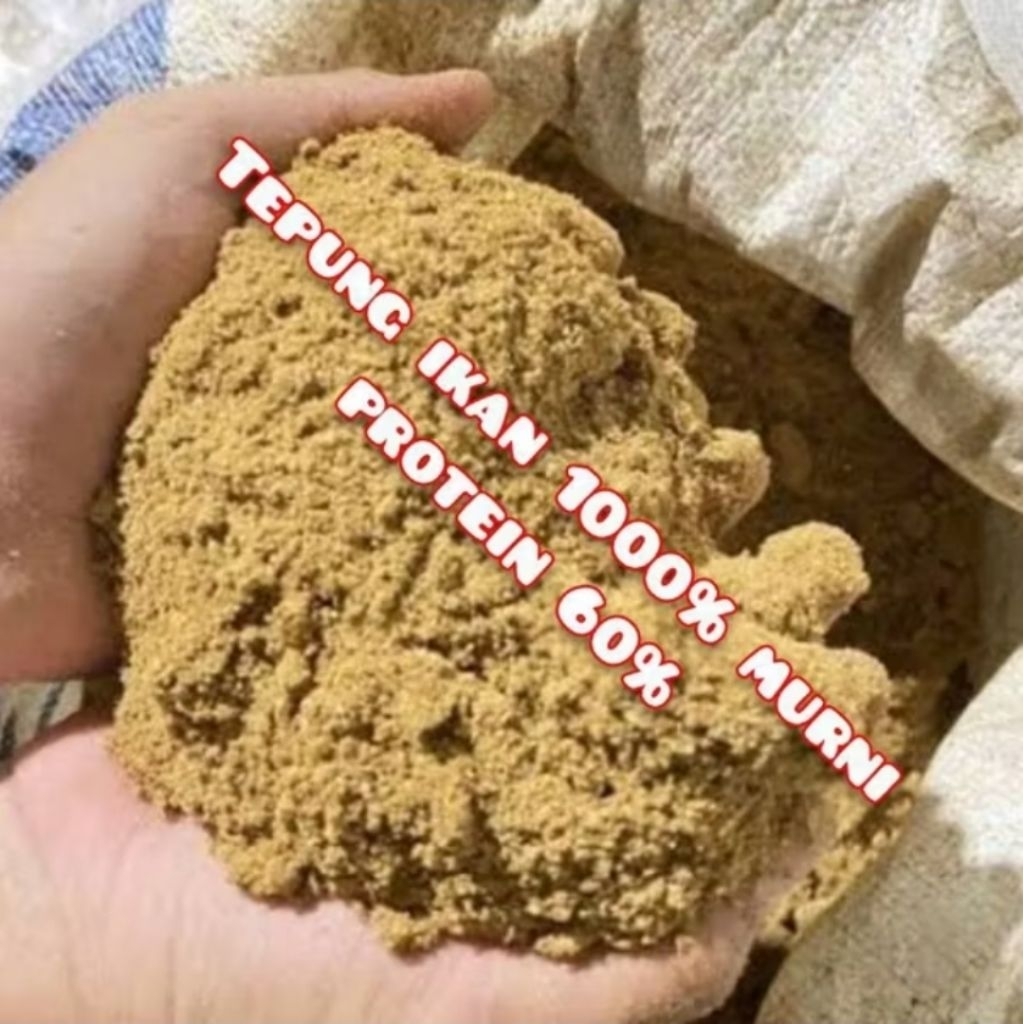 Tepung Ikan Murni / Tepung Ikan Protein Tinggi / Tepung Ikan Pakan Ternak