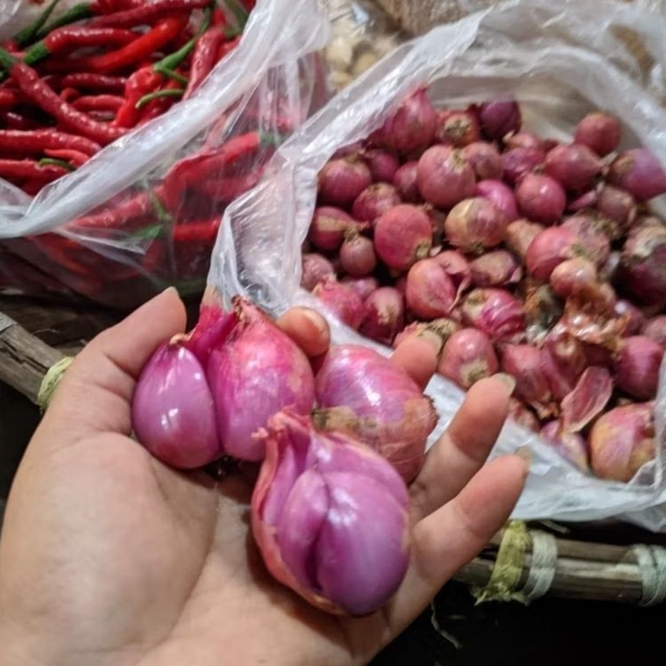 

bawang merah fres 250