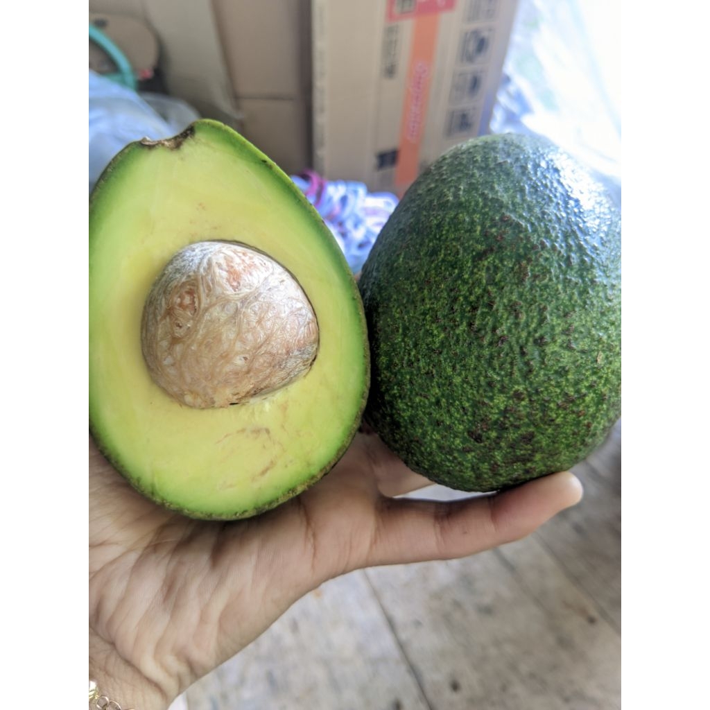 

Alpukat mentega bandung siap kirim luar kota size 1kg dikirim mentah