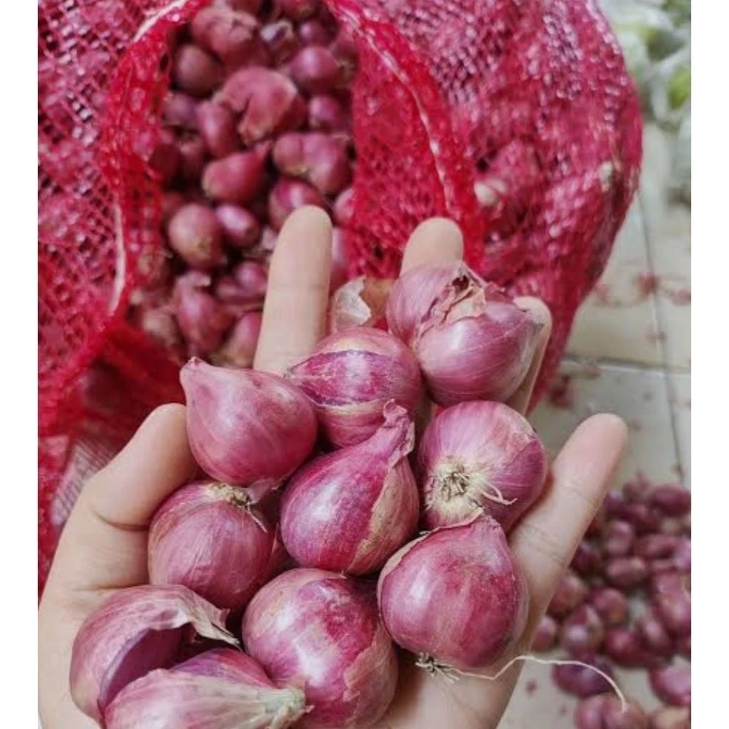 

BAWANG MERAH BREBES SEDANG DAN BESAR
