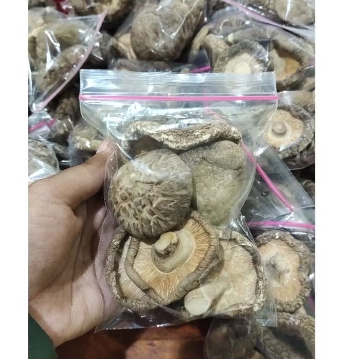 

Jamur Hioko / Shitake