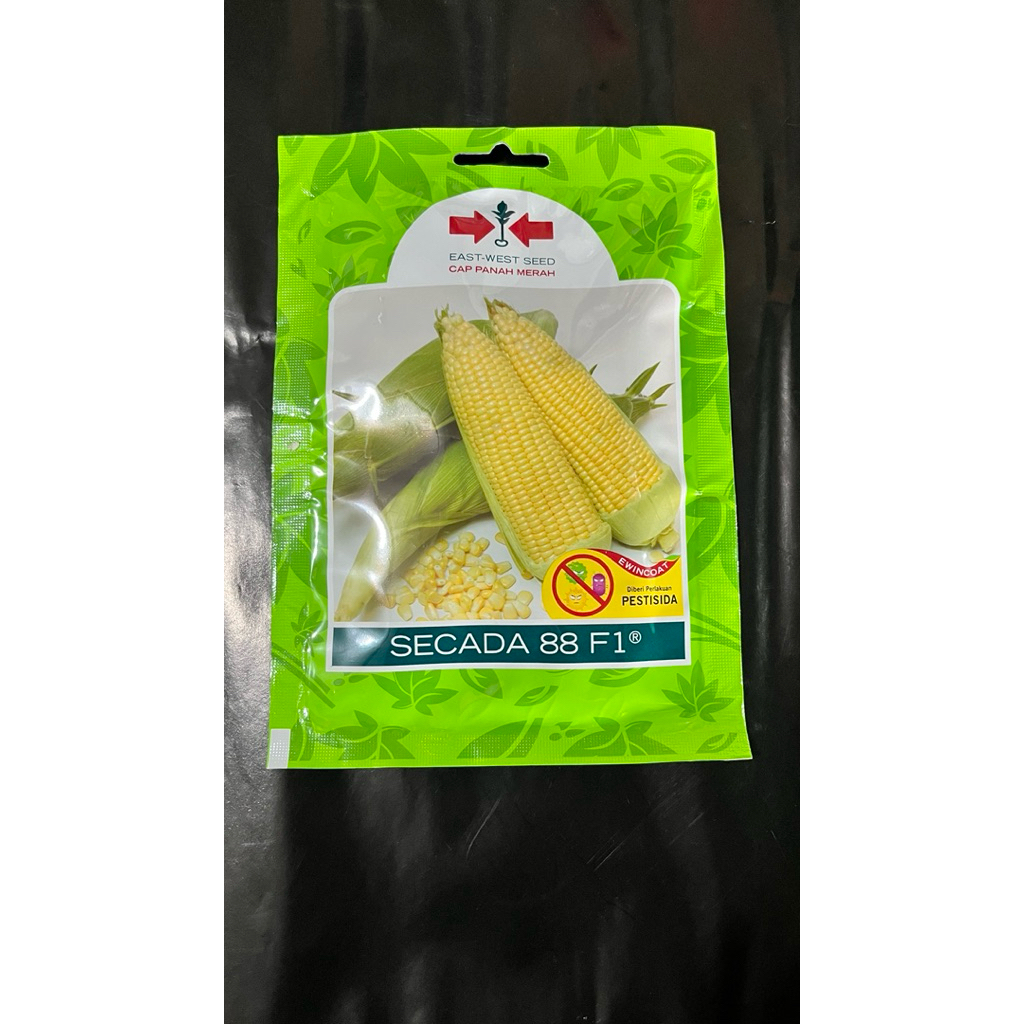 Benih Jagung Manis Secada 88 F1 200 butir