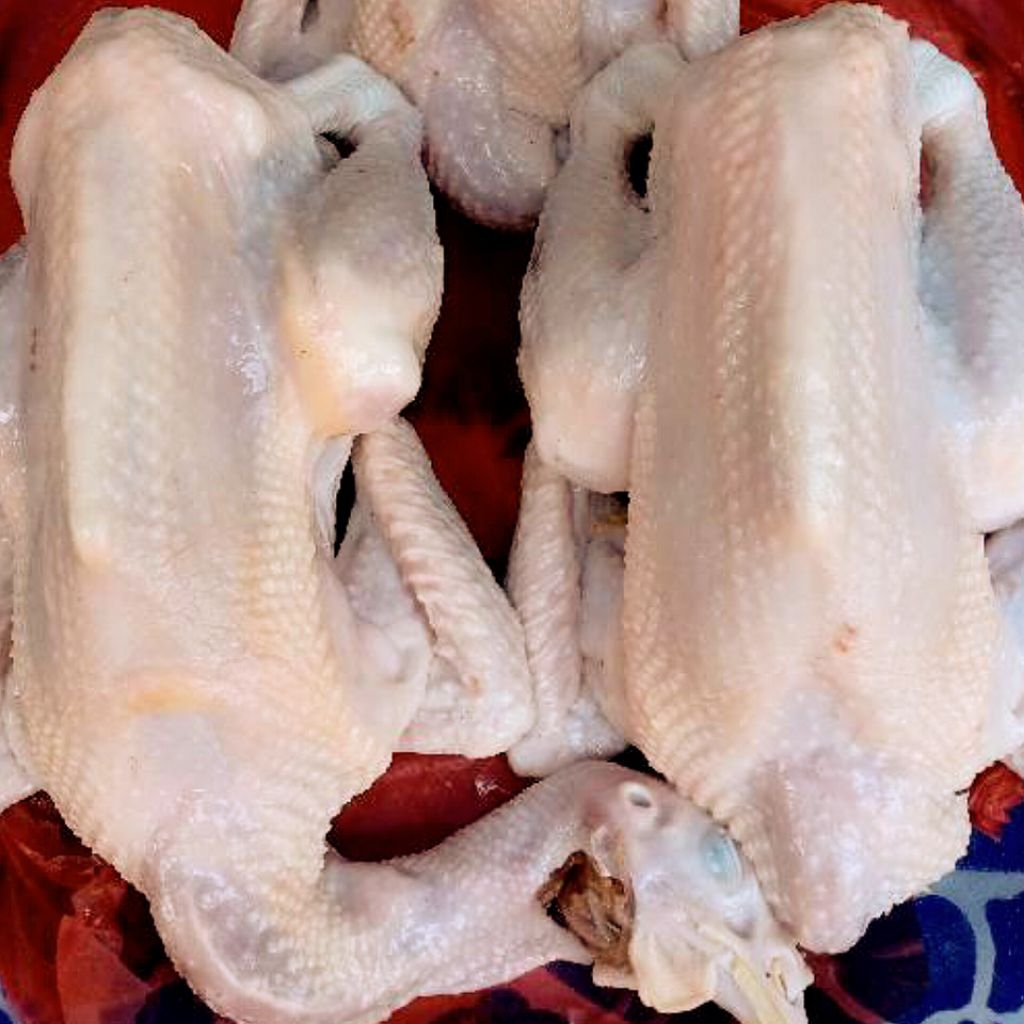 

Ayam Kampung Segar 800 - 1.000 gram