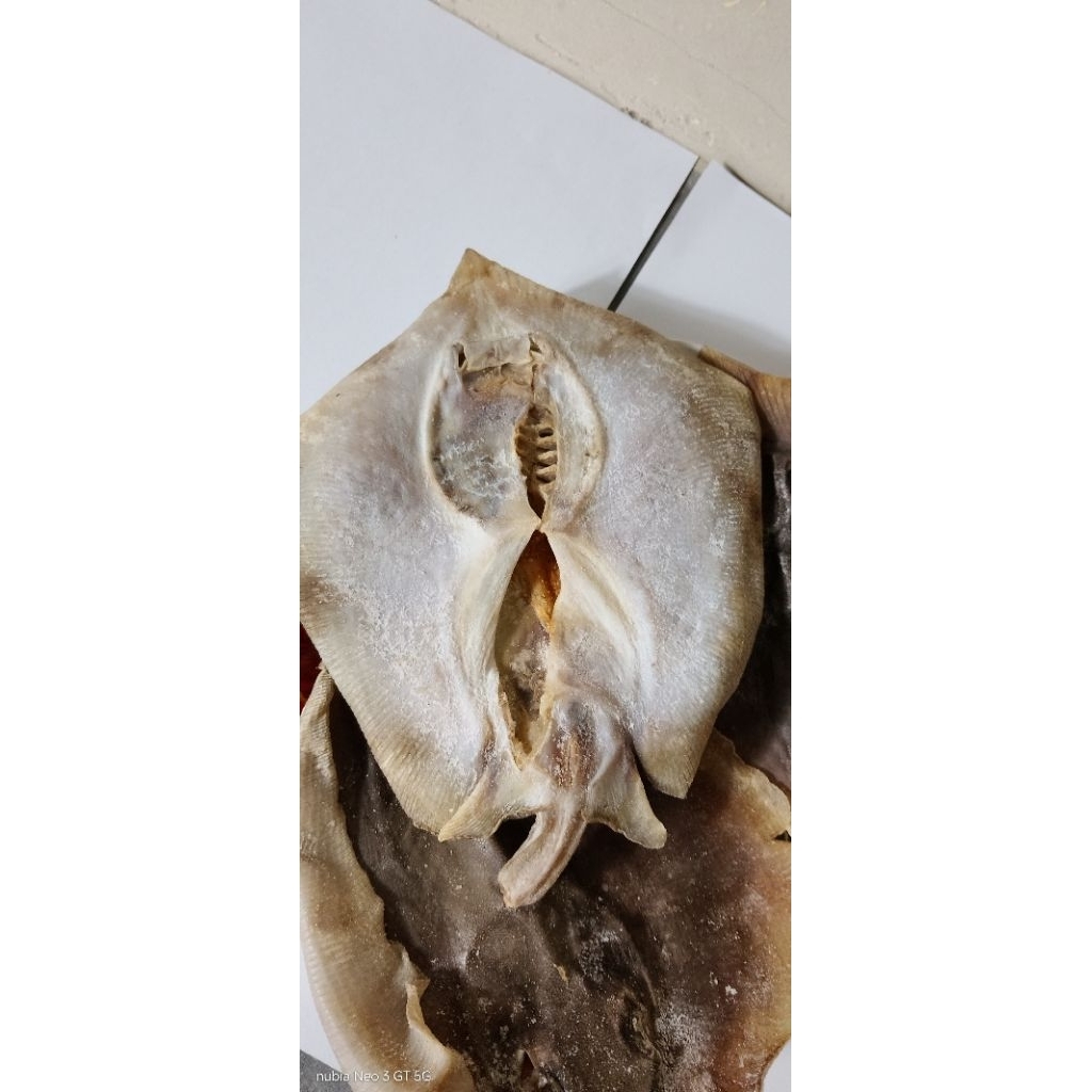 

IKAN ASIN PARI / IKAN ASIN P HARGA TIAP 1 ONS / 100 GRAM