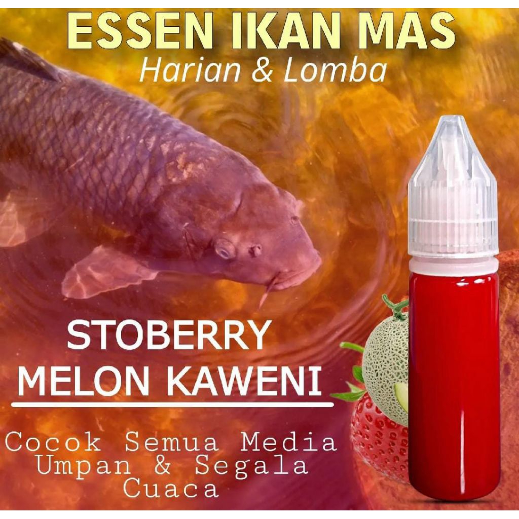ESSEN IKAN MAS AROMA STROBERI MELON KAWENI  essen ikan mas harian essen ikan mas lomba essen ikan ma
