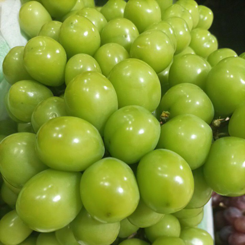 grape shine muscat/anggur hijau non biji curah 1kg