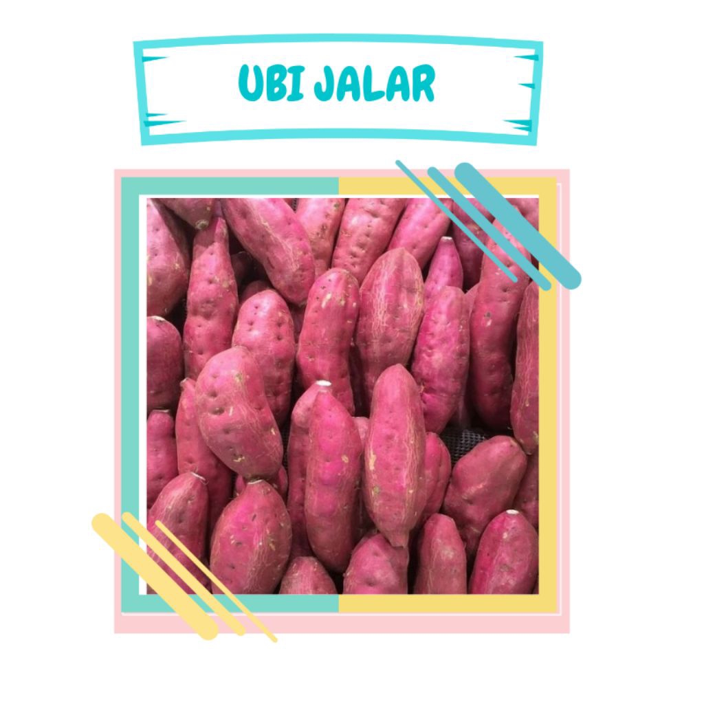 

Ubi jalar ungu 1kg