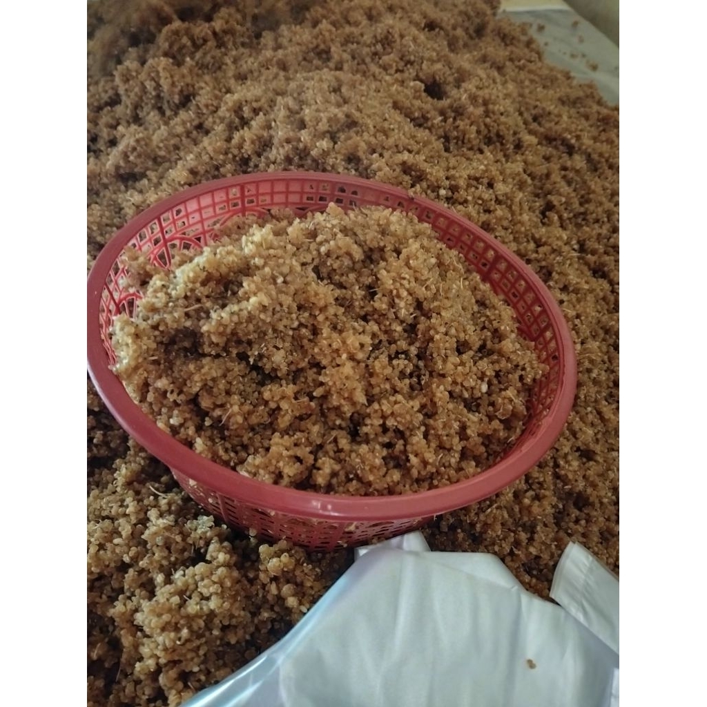 

TIWUL SINGKONG LEZAT