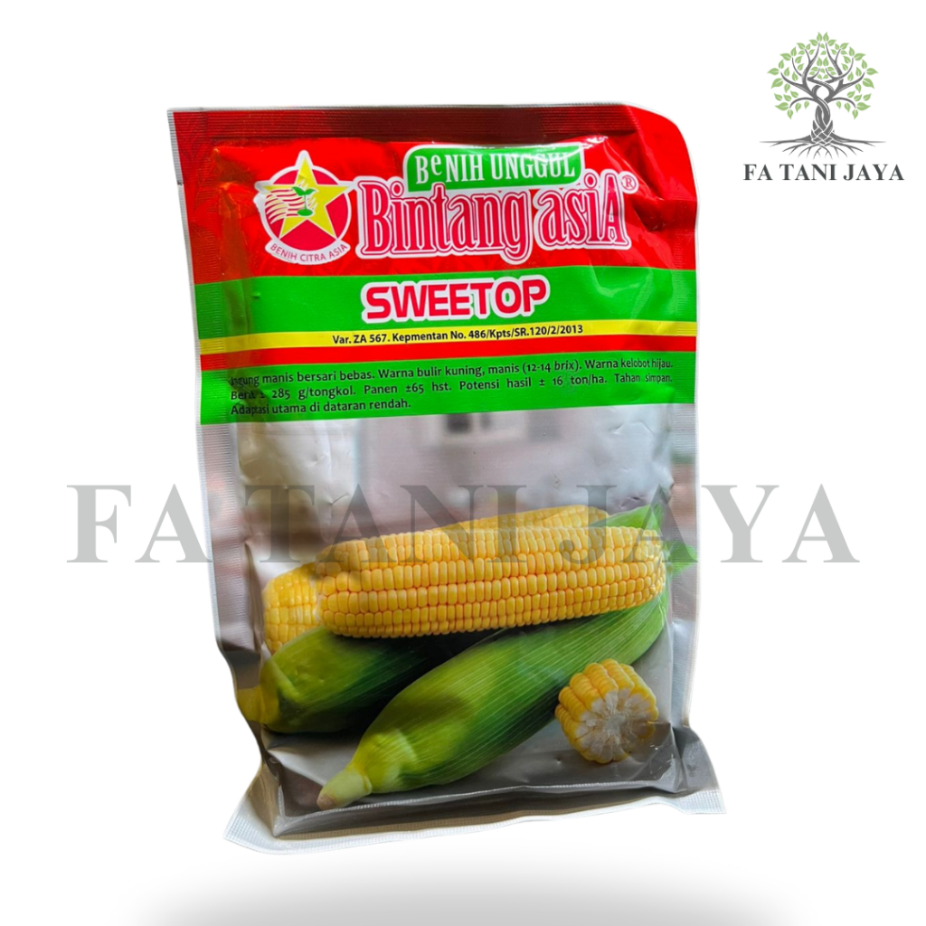 Benih Jagung Manis F1 Sweetop 250 gram Bintang Asia