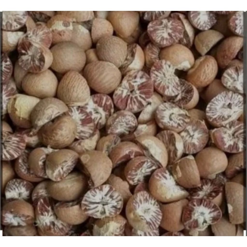 

Biji pinang kering/buah pinang kering 1 kg