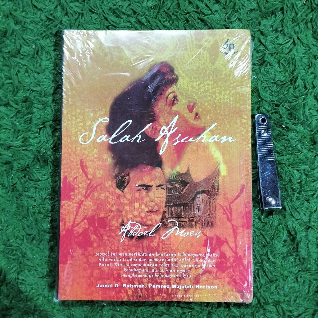 NOVEL SALAH ASUHAN