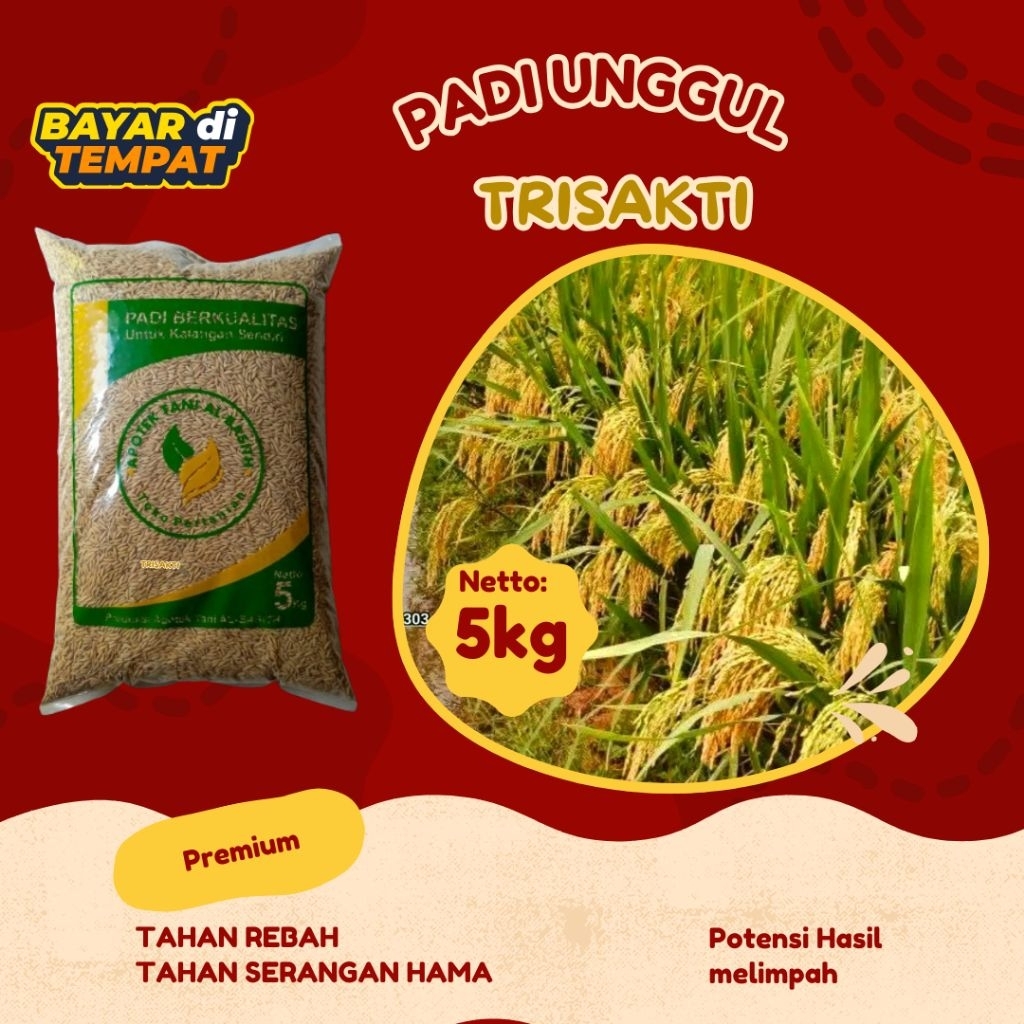 

BENIH PADI TRISAKTI ORIGINAL KEMASAN 5KG