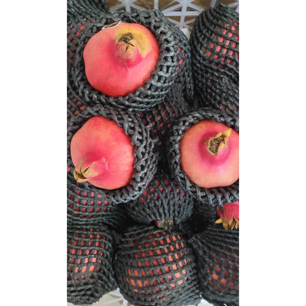 

Delima Merah Pomegranate Import Premium per pcs manis