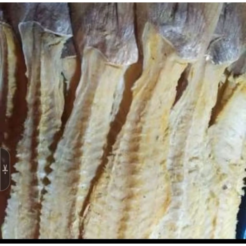 

Tulang Ikan Asin Jambal Roti