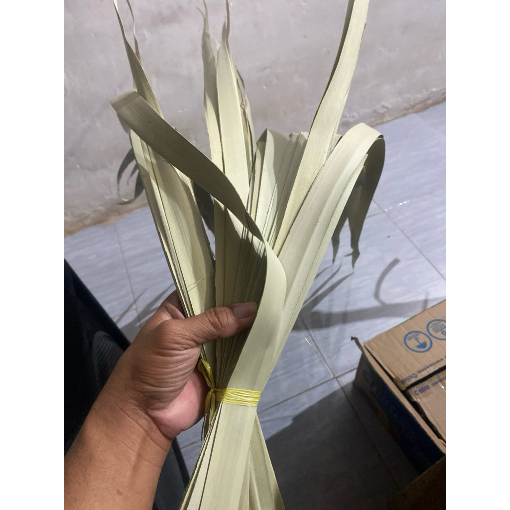Bahan kerajinan daun lontar/siwalan madura