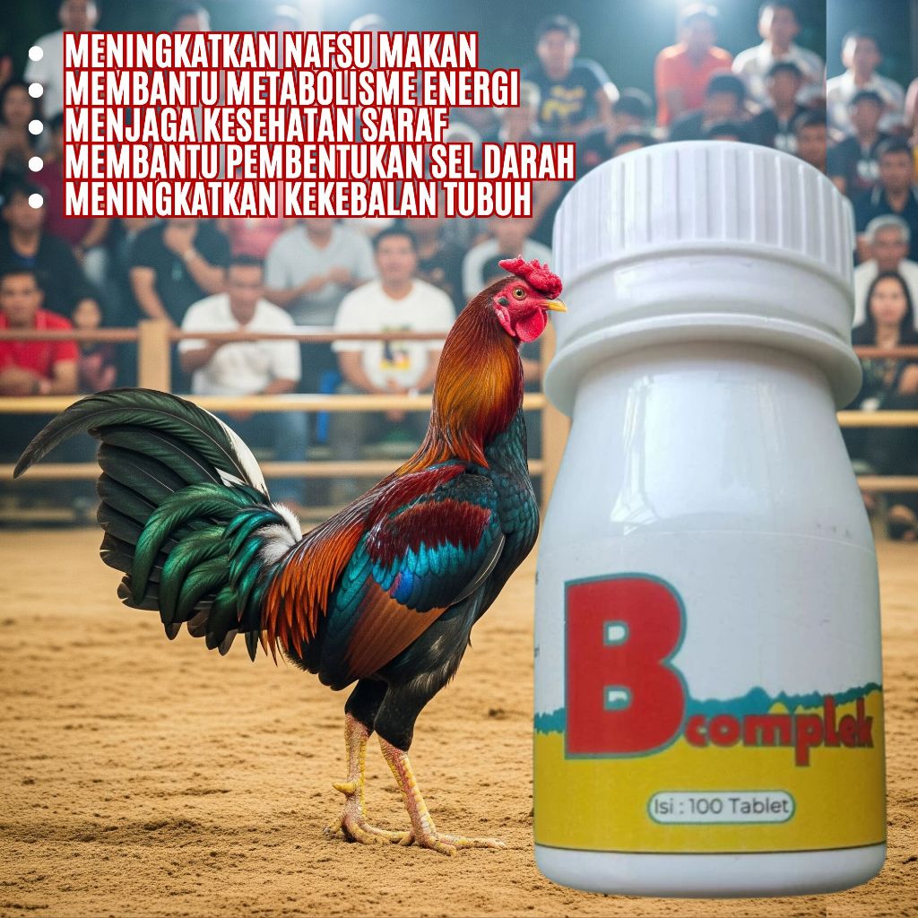 Vitamin Daya Tahan Tubuh ayam burung unggas 100 tablet B komplek ayam aduan