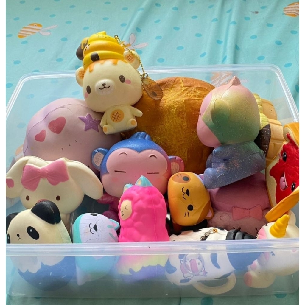 SQUISHY LICENSE 1 BOX