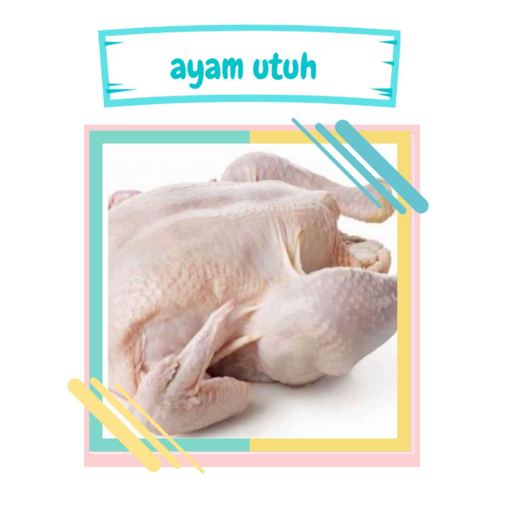 

ayam potong utuh segar