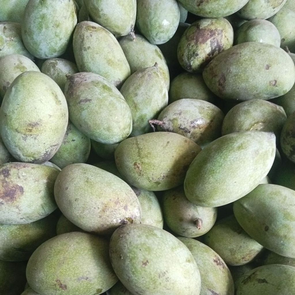 

mangga manalagi 1kg