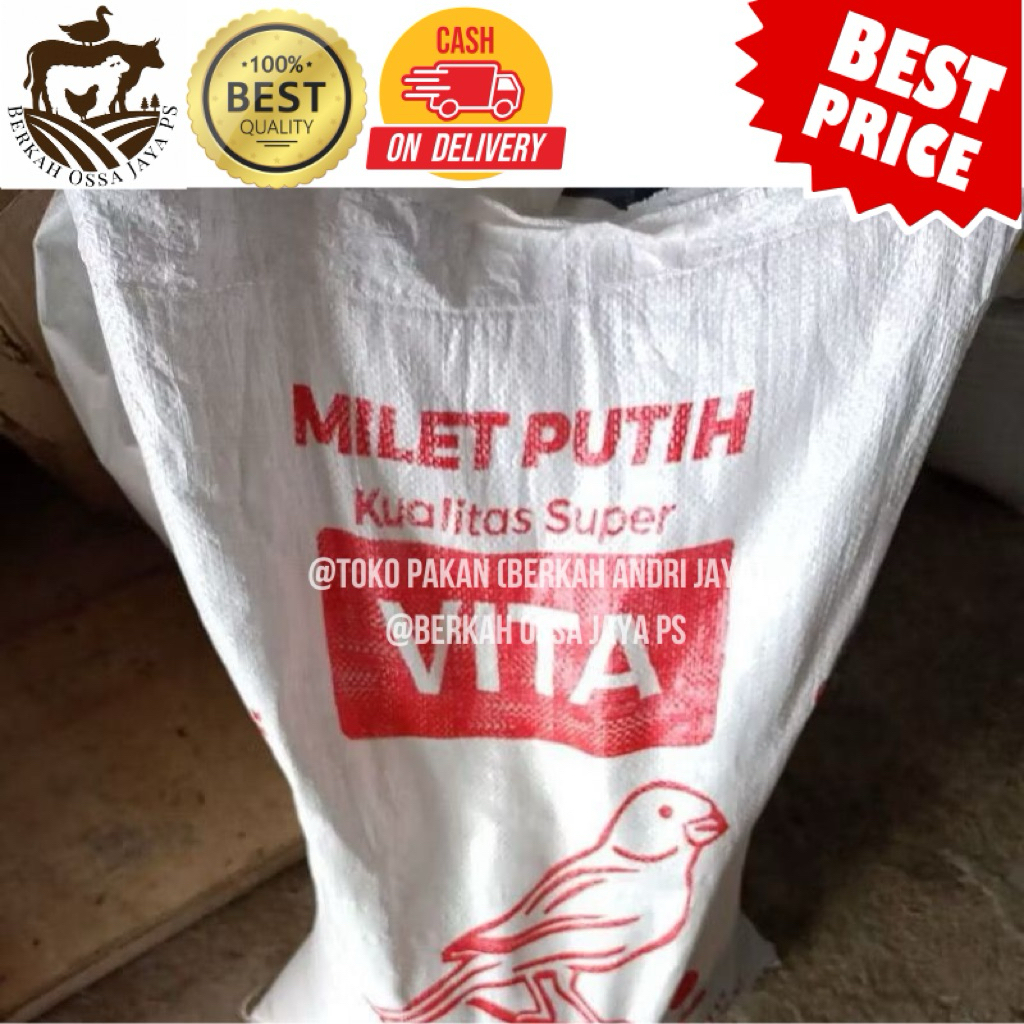 Milet Putih Vita