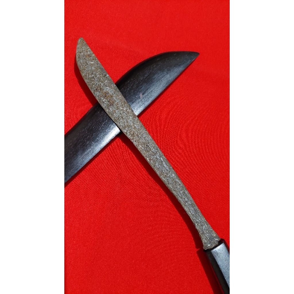 Badhik Kabudan Temuan Sepuh