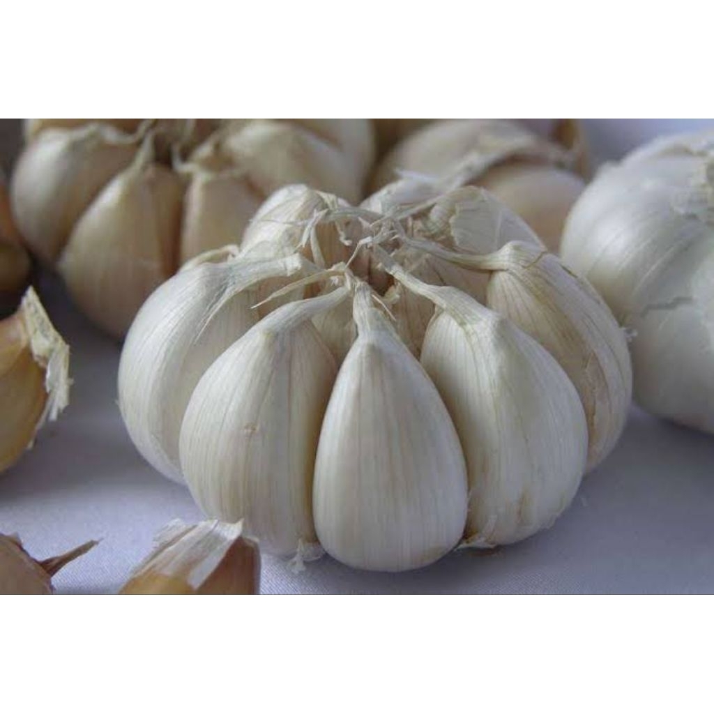 

Bawang putih 250gr