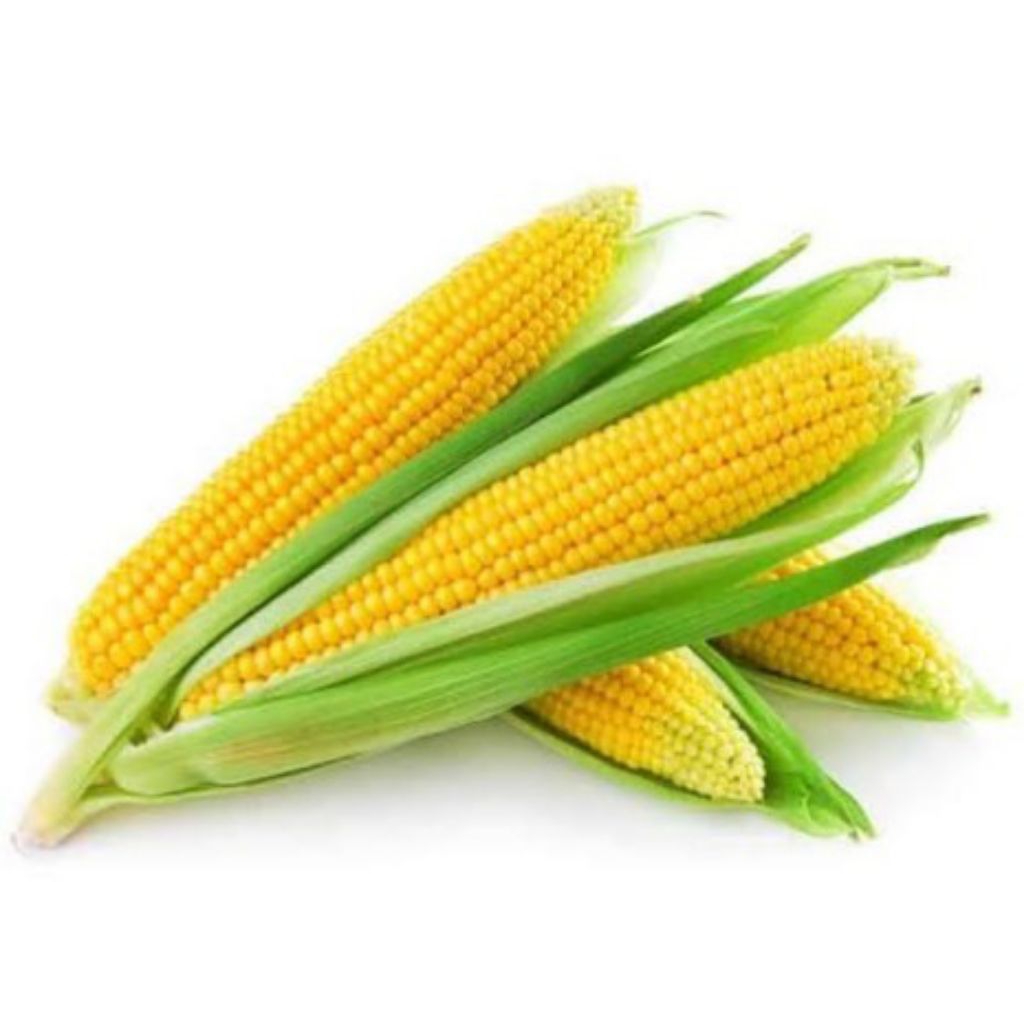 

JAGUNG MANIS MUDA 500gr