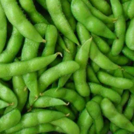 

edamame frozen kemasan 1kg