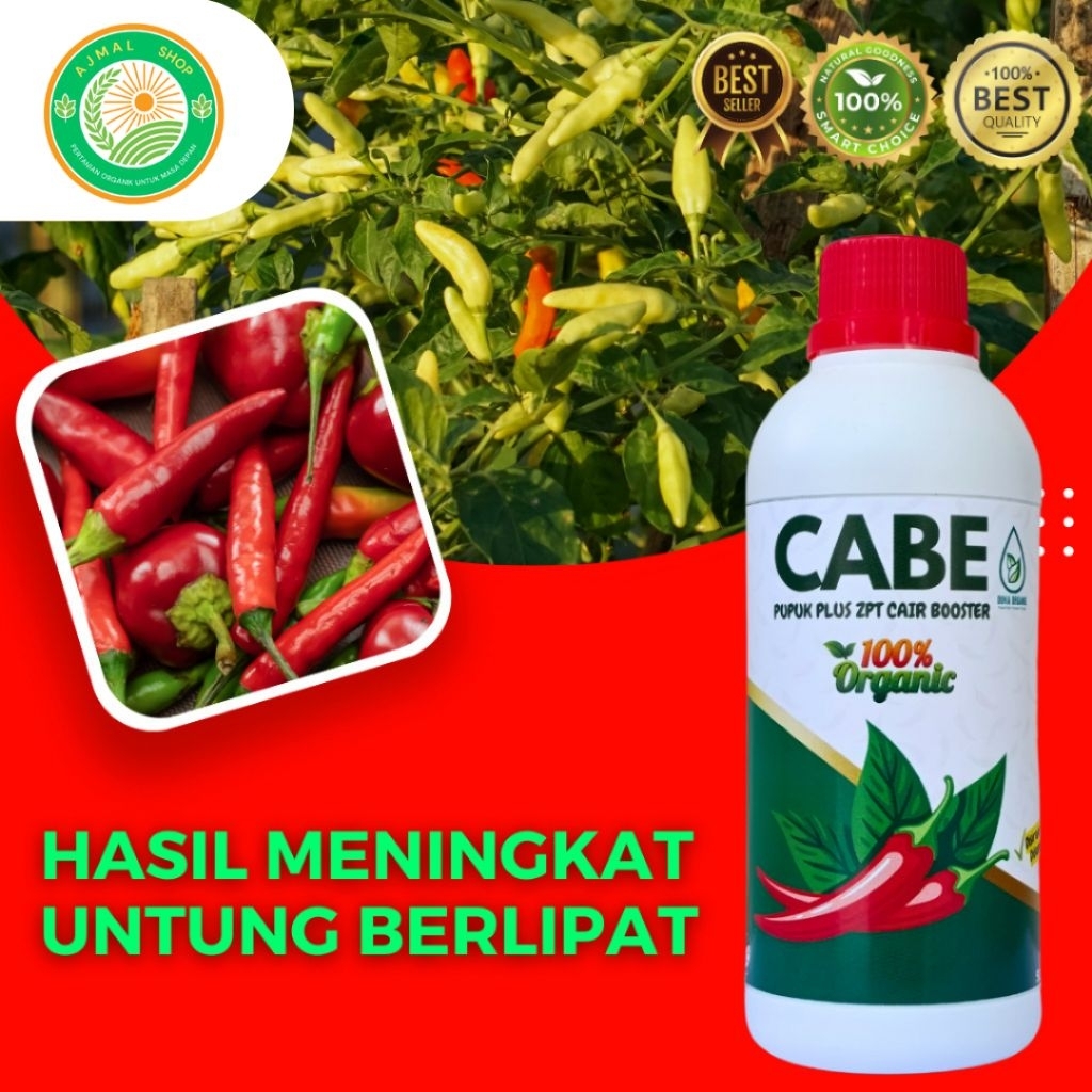 pupuk pelebat buah | Pupuk Buah Cabe| pupuk pelebat Buah Cabai | Pupuk organik Penyubur Tanaman Cabe