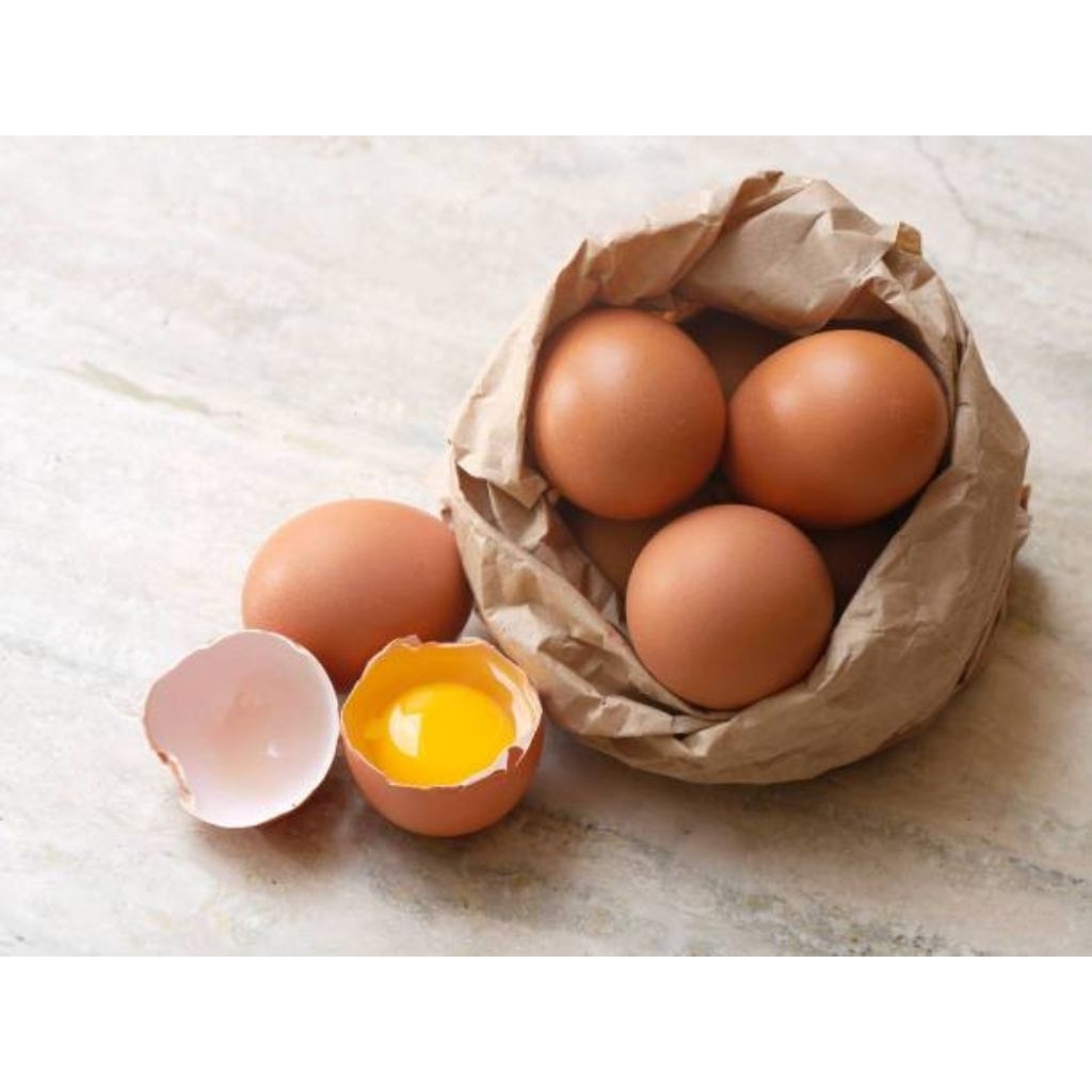 

Telur omega 3 fresh organik isi 10 pcs