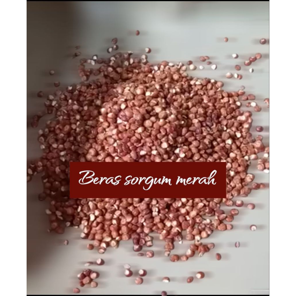 

1 Kg Beras Sorgum Merah