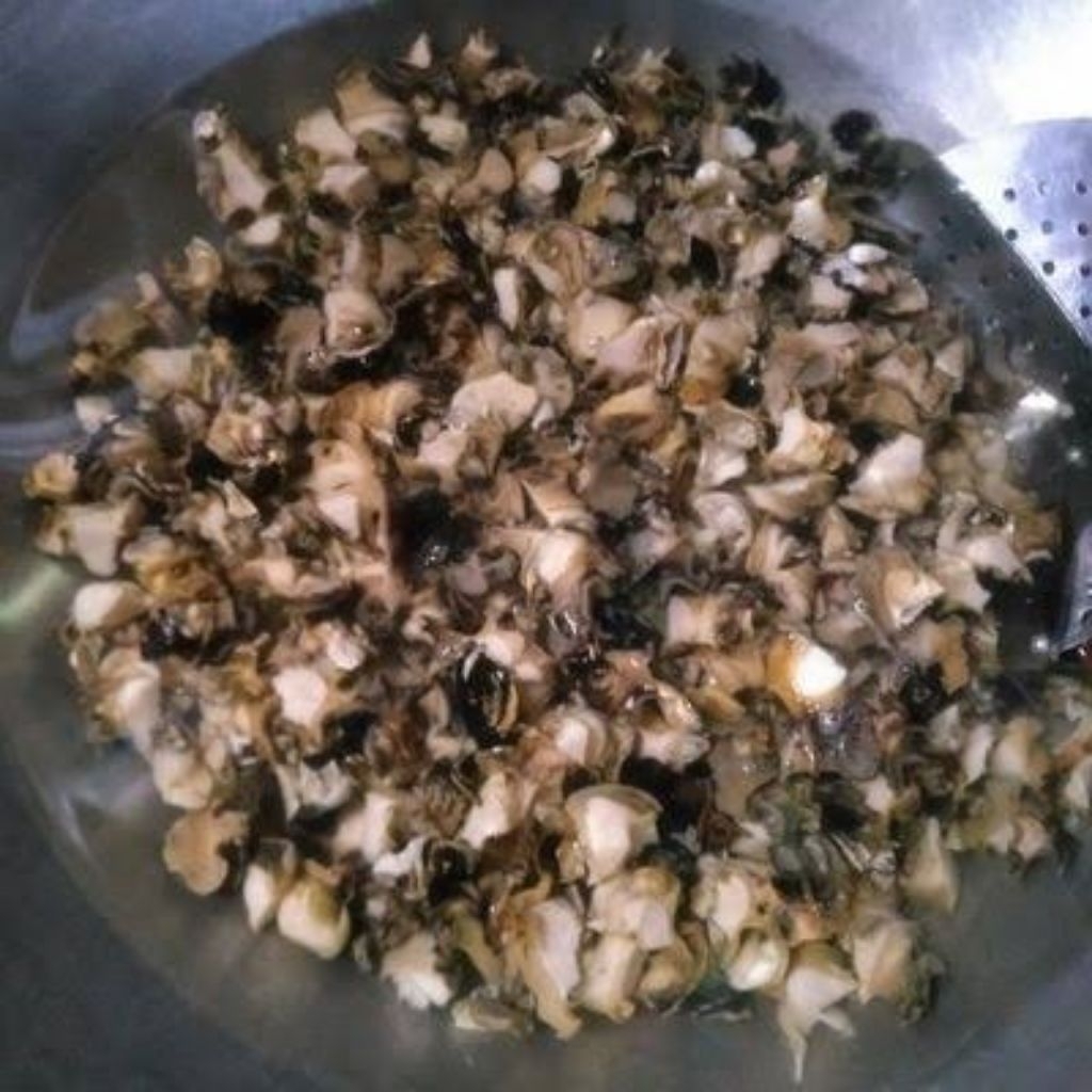 

keong sawah rebus 500gram