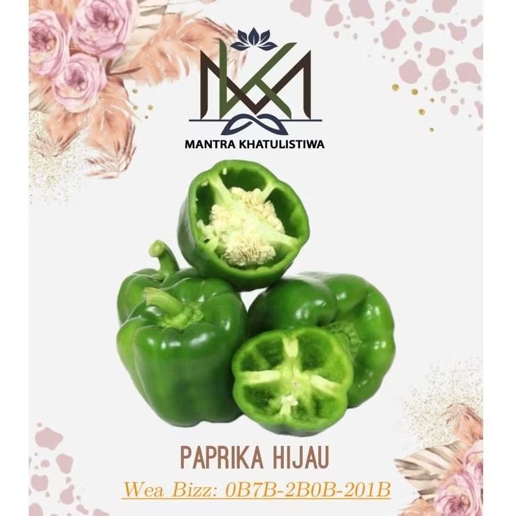 

PAPRIKA HIJAU CABE PAPRIKA CABAI PAPRIKA HIJAU