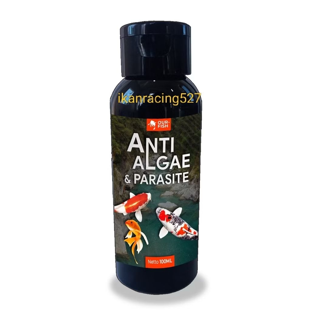 anti algae dan parasit ikan hias