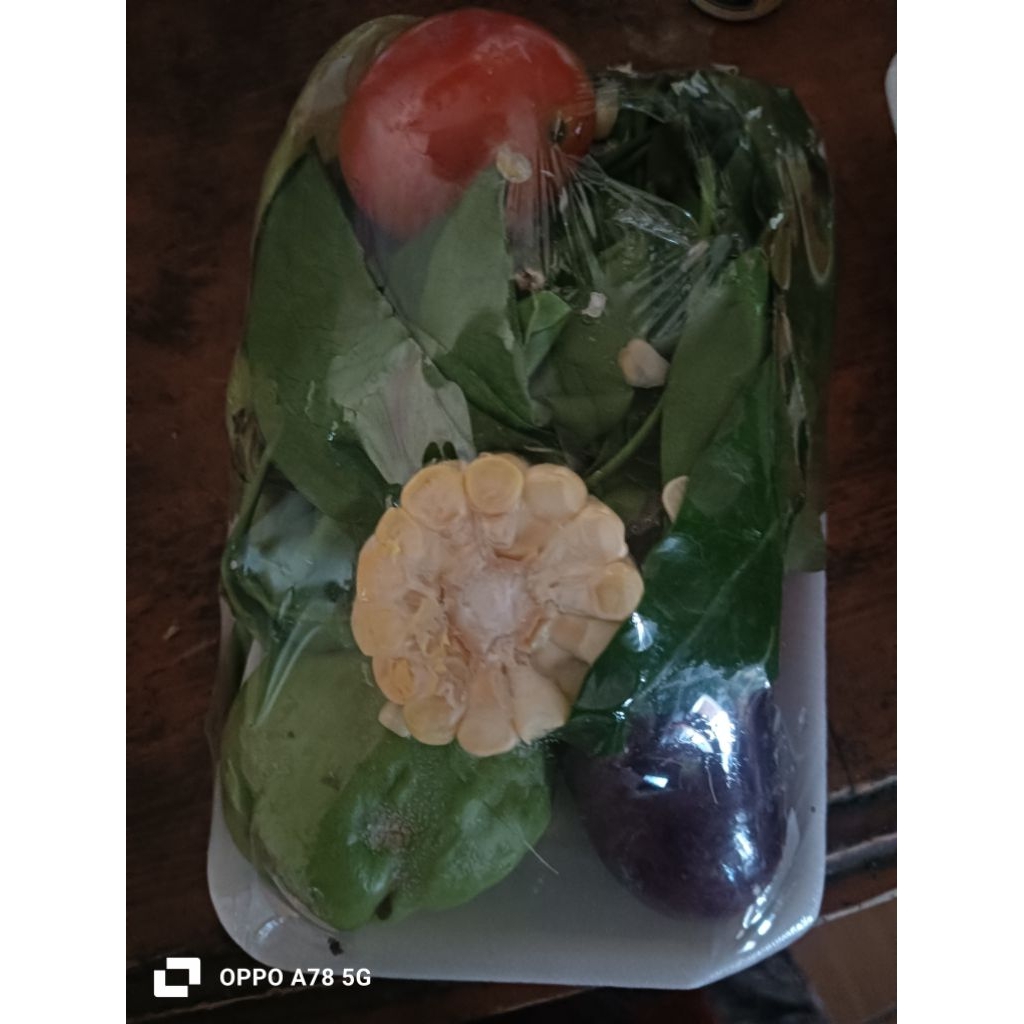 

sayur lodeh siap saji