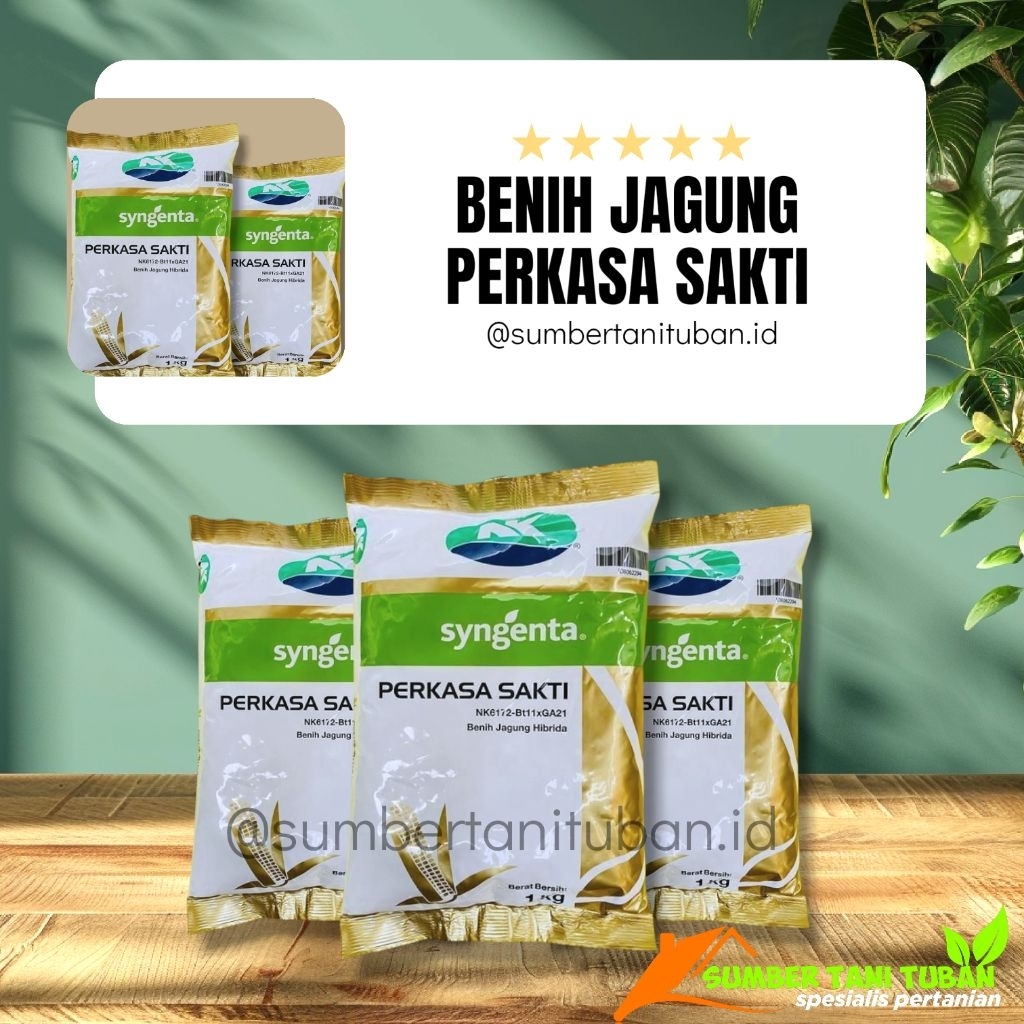 BENIH JAGUNG NK PERKASA SAKTI NK 6172-Bt11xGA21 KEMASAN 1 KG syngenta