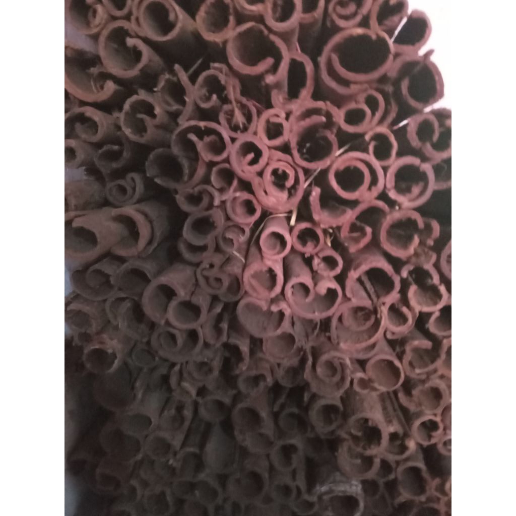 

KAYU RARU IKATAN 3KG