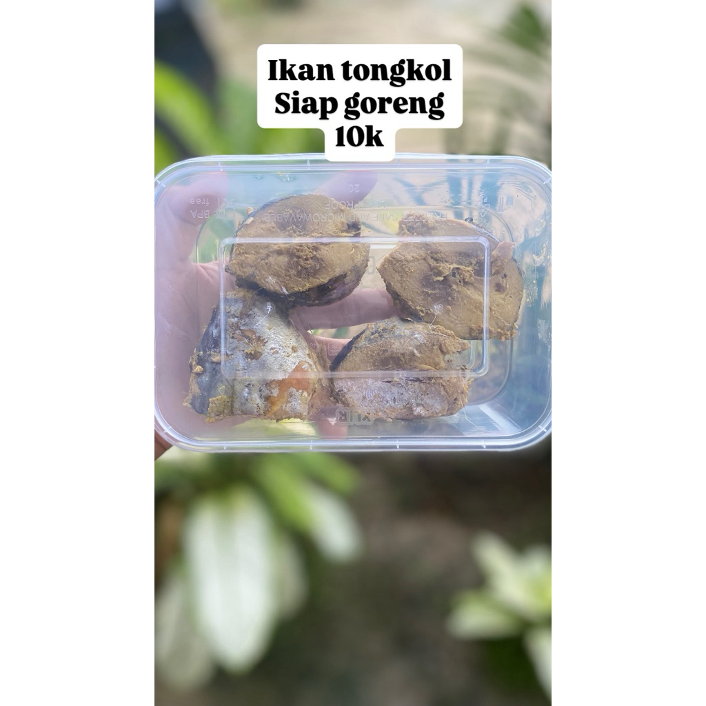 

ikan tongkol bumbu