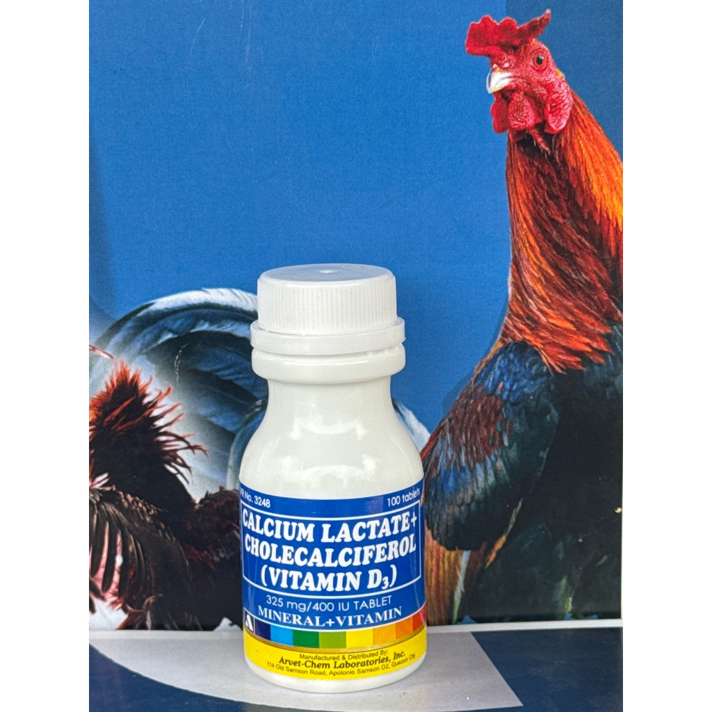 CALSIUM LACTATE AYAM 100 TABLET