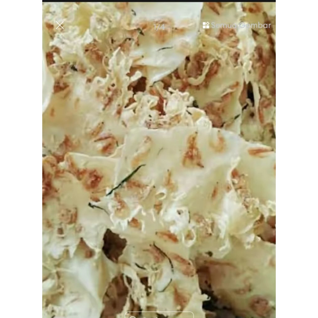 

peyek rebon Renyah dan gurih