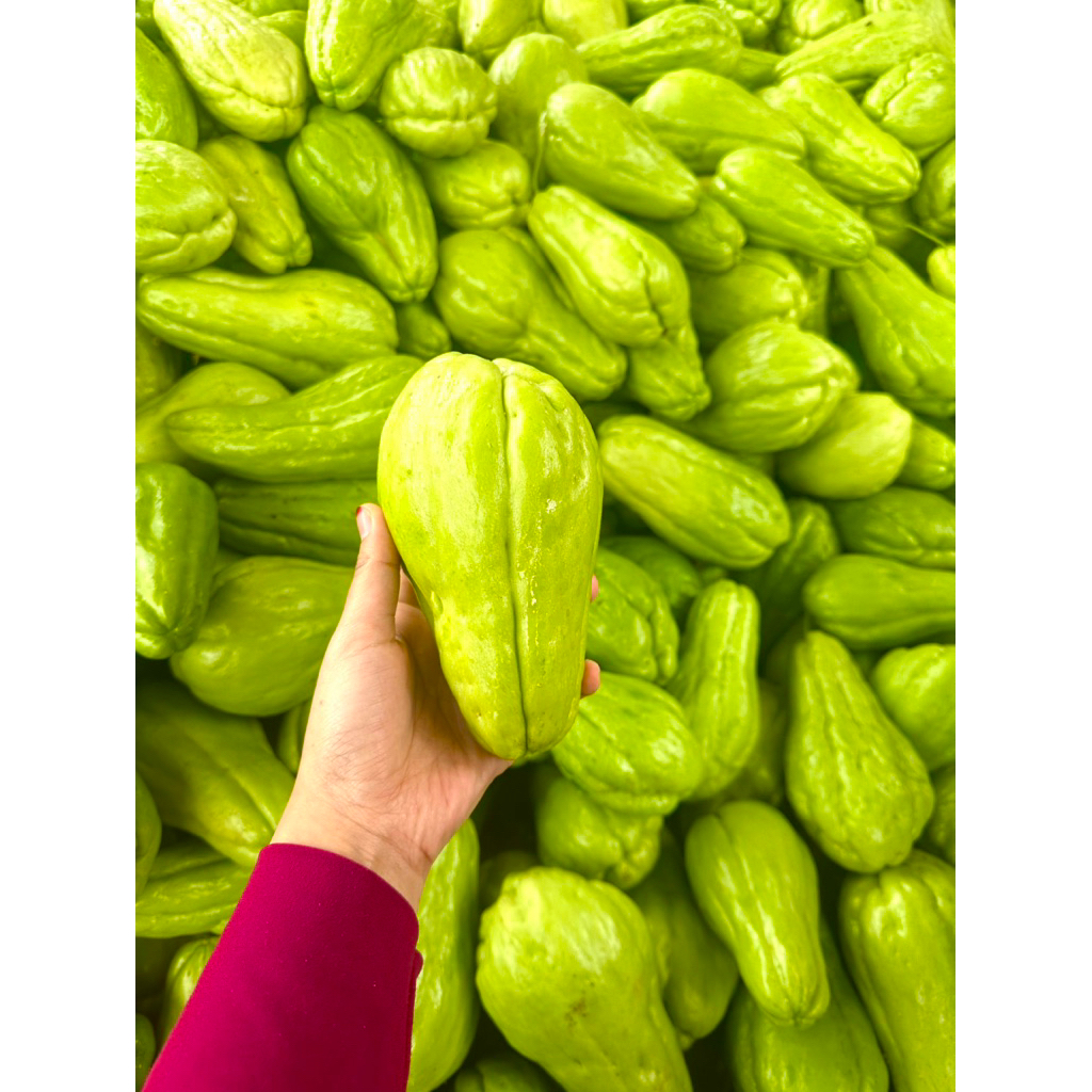 

labu siam fresh 1 kg