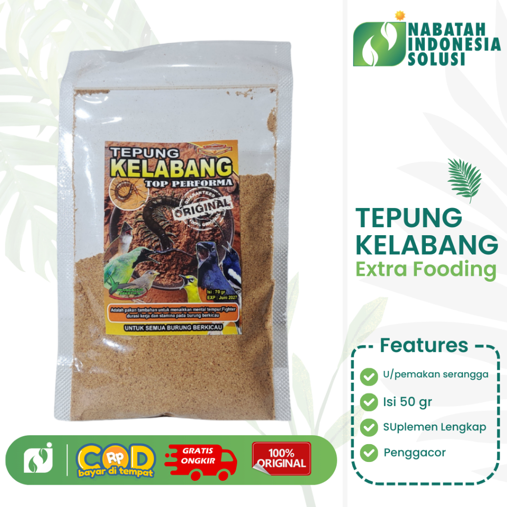 ( TERMURAH )TEPUNG KELABANG EXTRA FOODING SUPER SUPLEMEN PENGGACOR BURUNG MURAI BATU KACER CUCOK IJO