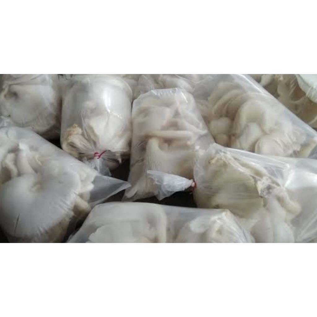 

jamur tiram 250 gr