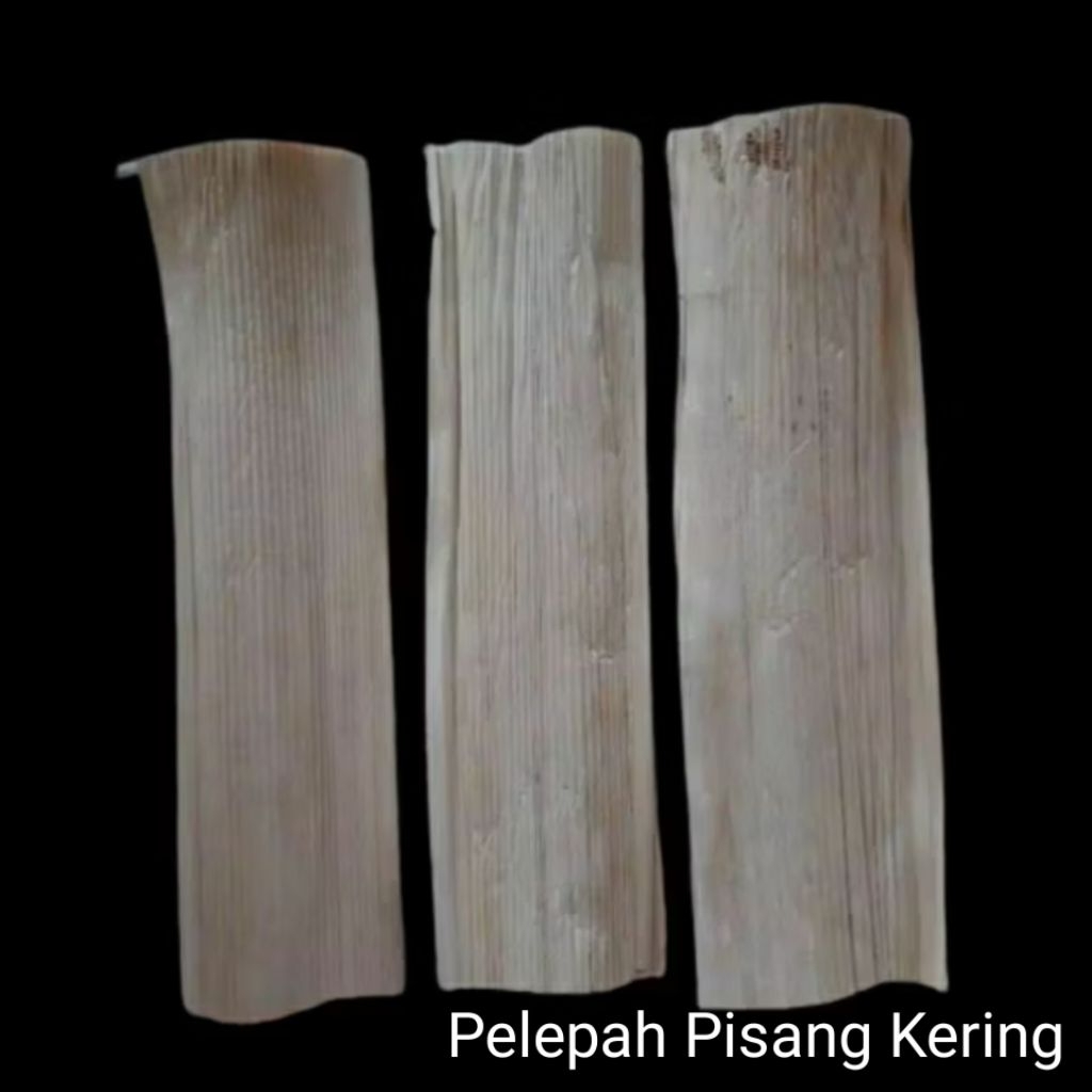 

pelepah pisang kering bahan kerajinan | tugas prakarya sekolah