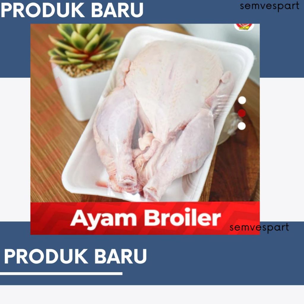 

AYAM BROILER BEKU