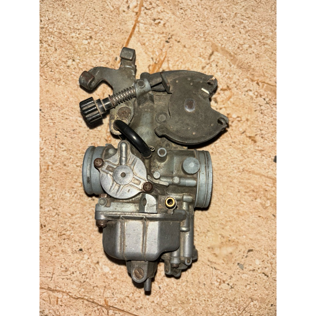 Karbu Tiger Original