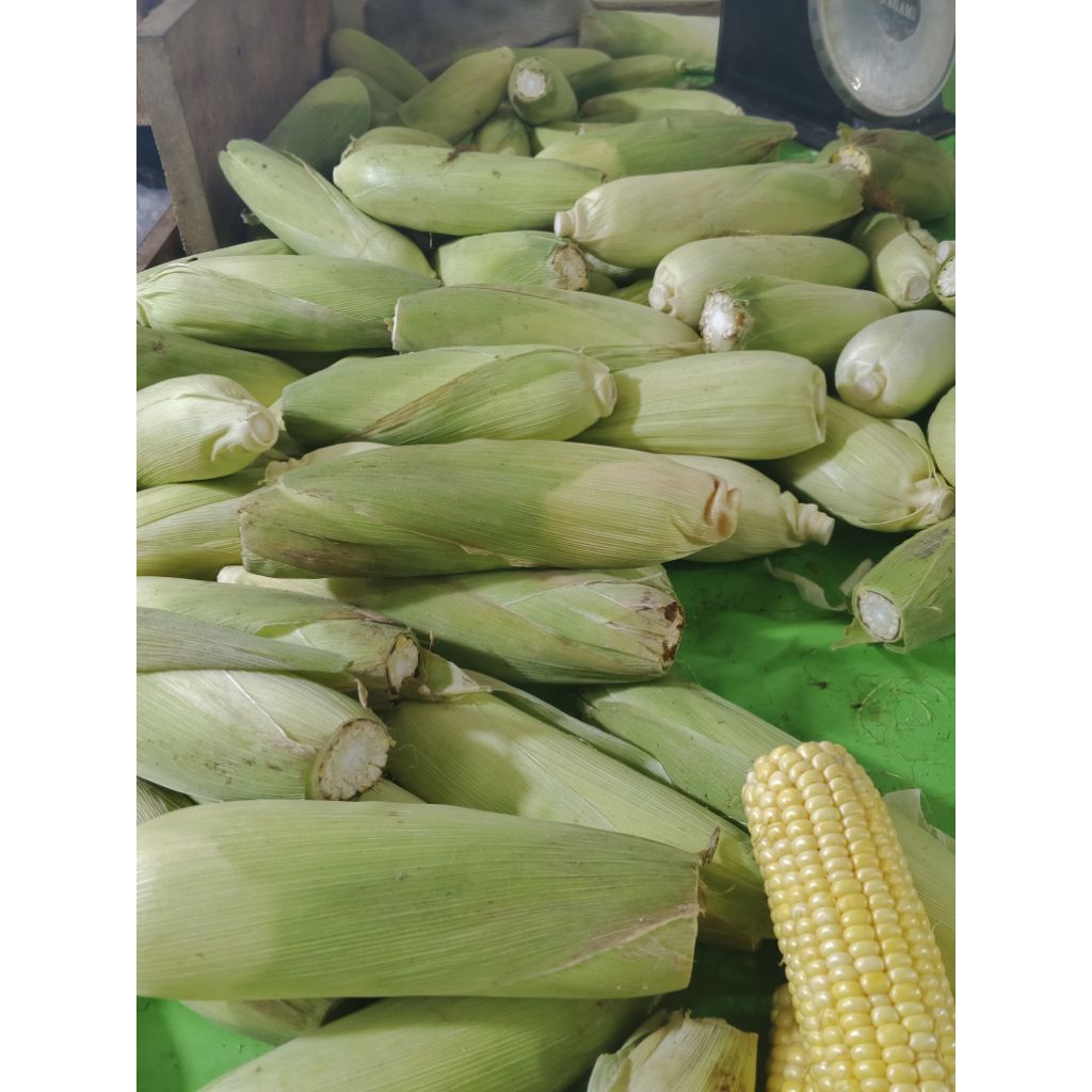 

Jagung Manis - 1 kg 10K
