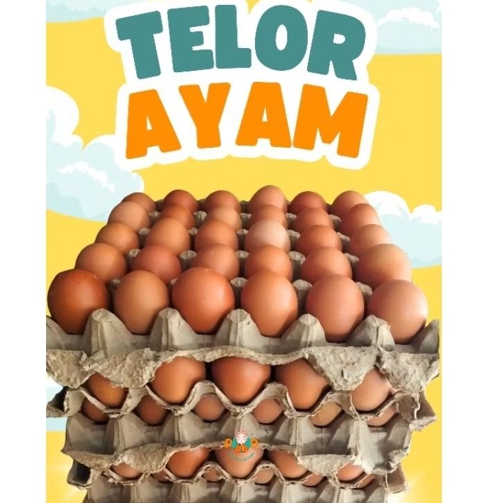 

TELOR AYAM NEGERI 1PAPAN 30 BUTIR