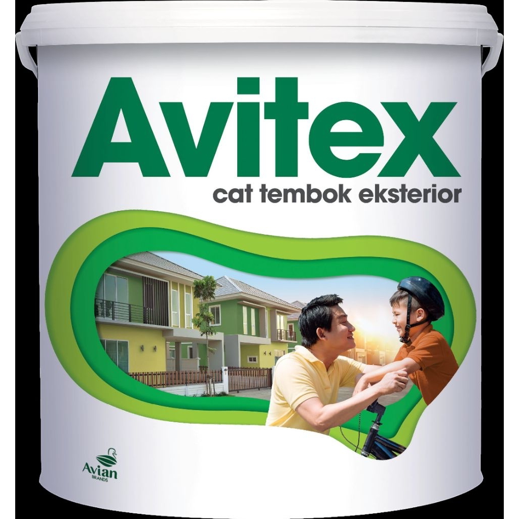 SAN Avitex Exterior 5kg